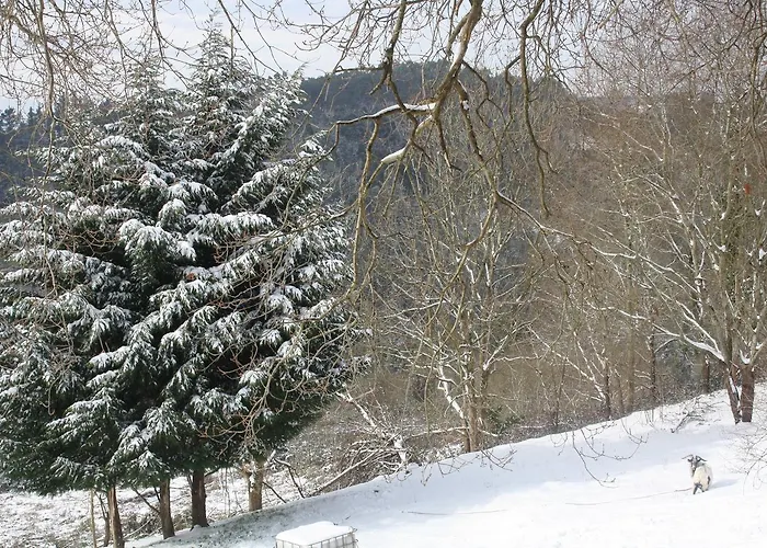 Casa Rural Ecologica Arrizurieta
