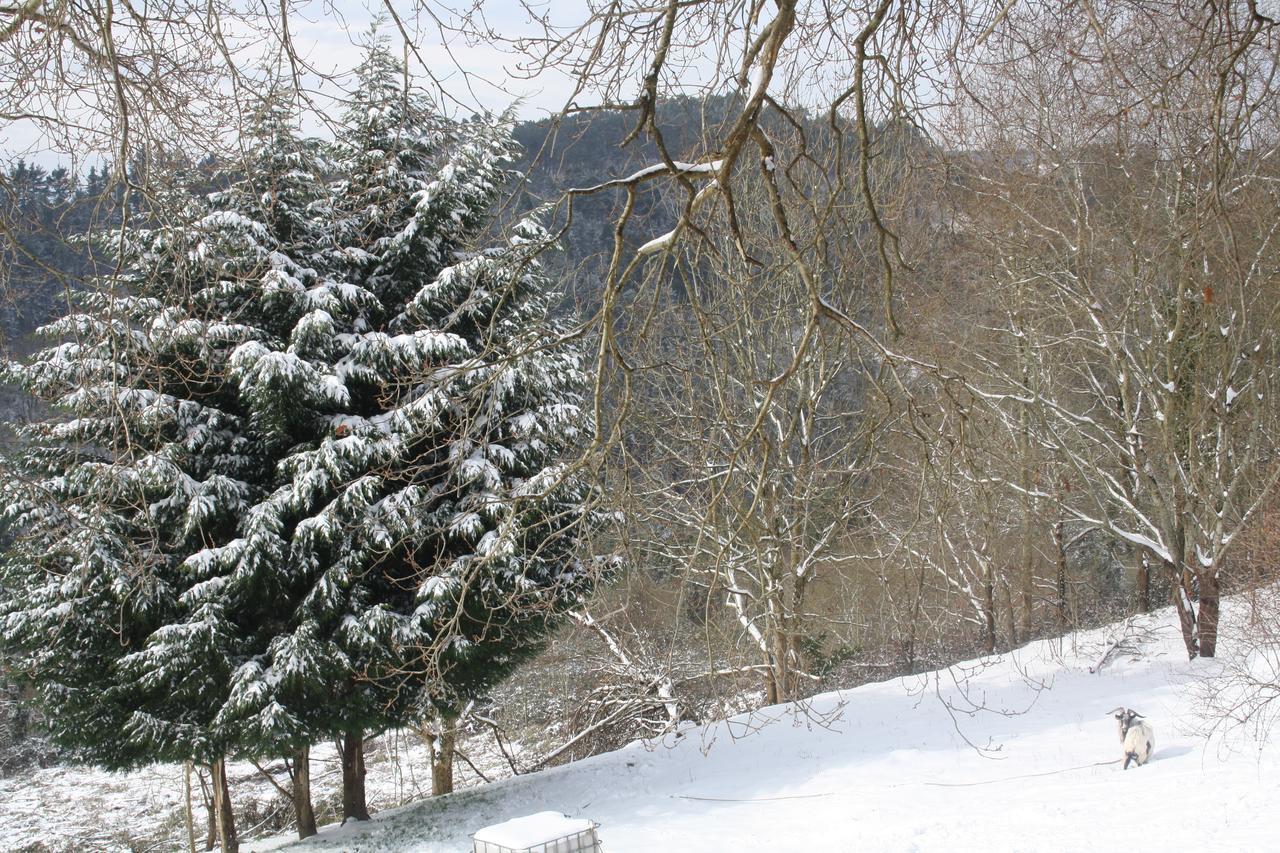 Ecologica Arrizurieta Gospodarstwo wiejskie